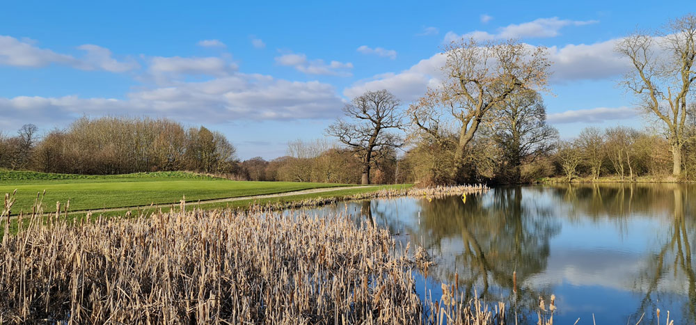 how_many_calories_do_you_burn_playing_golf_18-hole