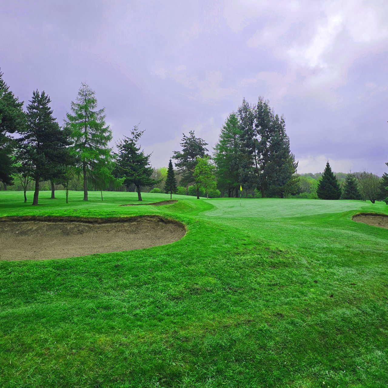 which-golf-course-9-hole-intro-image