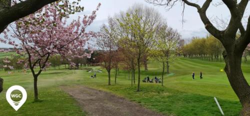 low laithes golf course 8